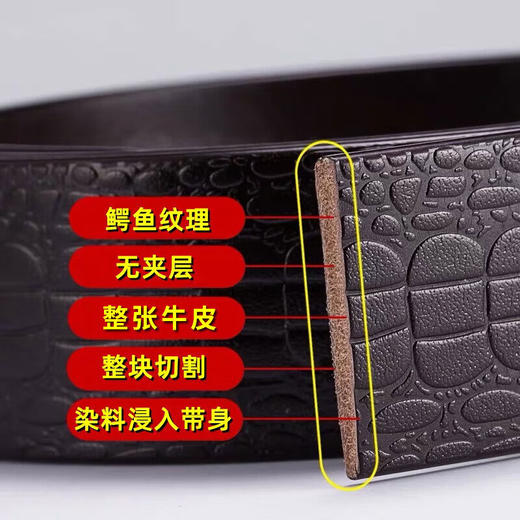 杰尼·卡罗 真皮腰带    GCR140933 商品图1