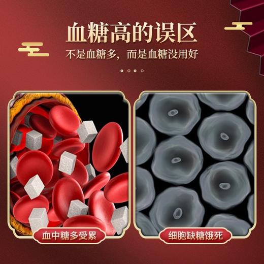 祖医堂肉桂灵芝胶囊（30粒） 李时珍草本精华  适用于血糖高人群，餐前口服 平稳降糖不并发 商品图2