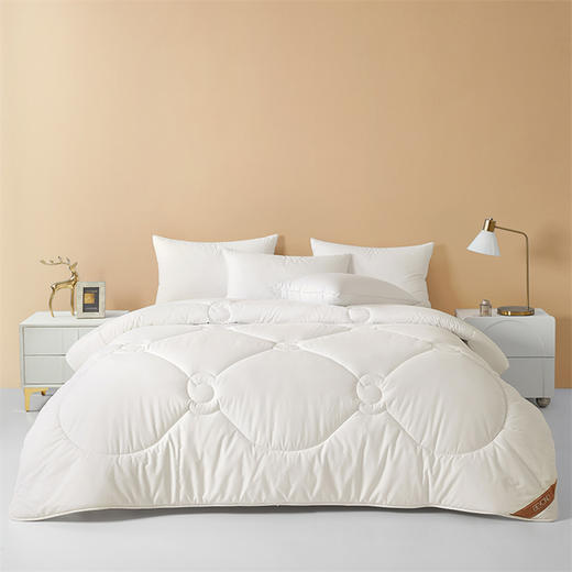 博洋家纺（BEYOND） 抑菌A类澳洲羊毛冬被（澳瑞白）200*230cm 商品图0