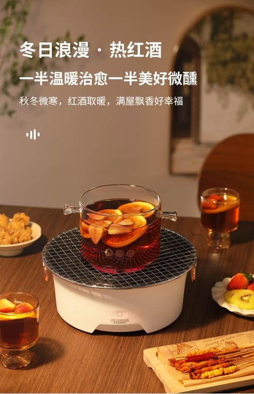 大宇(DAEWOO)电陶多功能家用围炉煮茶器 DY--WL08 商品图1