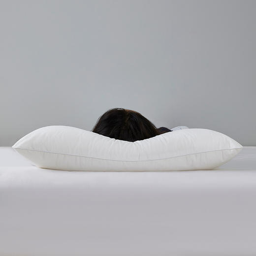 罗莱T 科技阻螨抗菌舒弹枕 47*73cm 商品图2