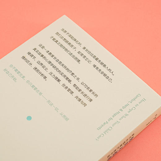 你并不孤单：家长的情绪疗愈手册 （守望者·心自在） 商品图5