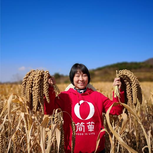 香畴压塌楼小米 | 380g/1kg 米油醇厚 软绵甘甜 粗粮米粥 自然农法种植 谦益农业 商品图11