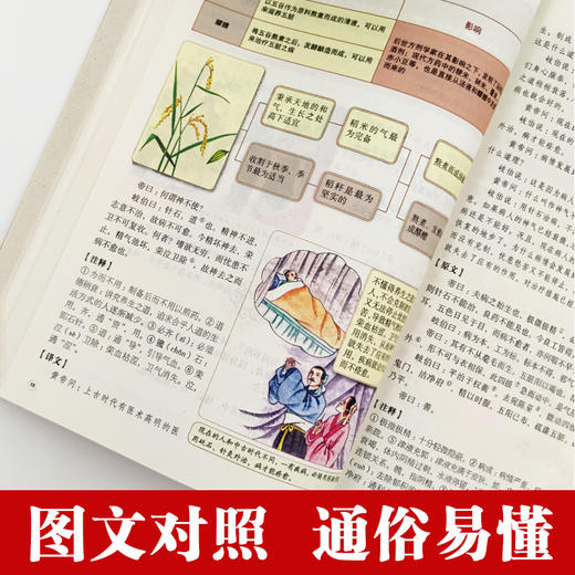 【新书特惠】《黄帝内经》——奠定东方生命智慧的千年源头经典 商品图4