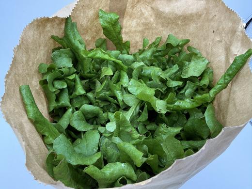 自产/  野荠菜（地菜） 商品图3