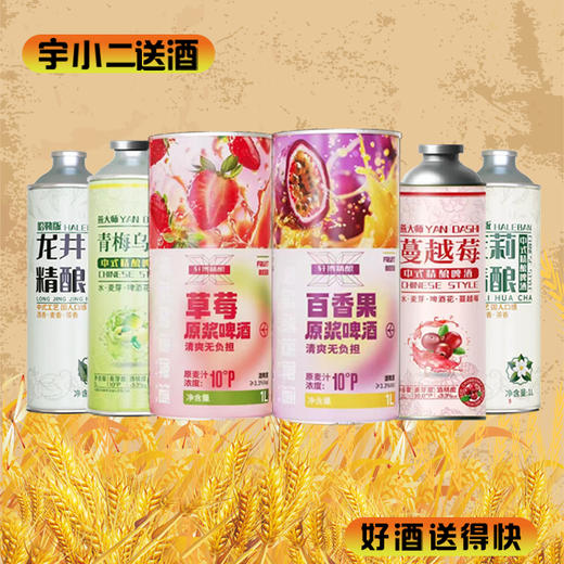 【啤酒】轩博草莓精酿+百香果精酿+燕大师青梅乌龙+蔓越莓+哈勒版龙井精酿+茉莉精酿 1L*6 商品图0