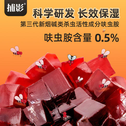 捕影_0.5%呋虫胺杀蝇饵剂_40g（全新品） 商品图1