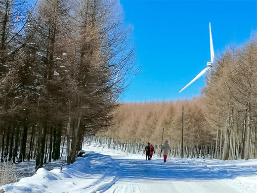 【麻田岭1日】河北小天山の徒步体验-麻田岭10公里小环穿 商品图7