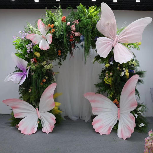 彩蝶组合（运费自理） 商品图2