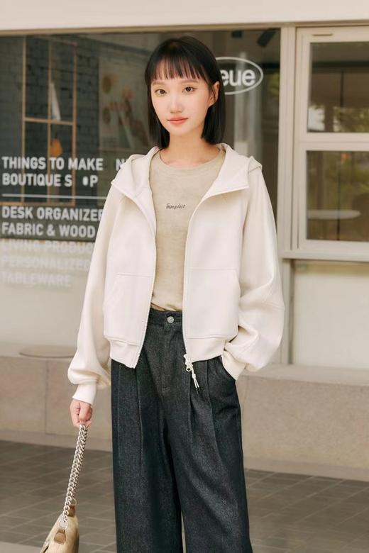 HAYES 米色休闲拉链连帽卫衣 20961 商品图0