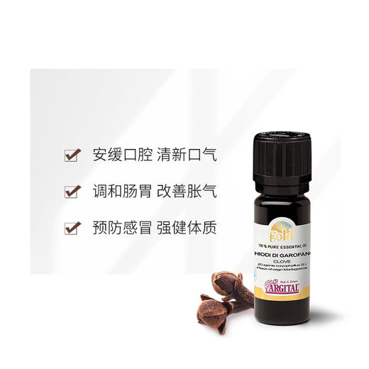 丁香精油10ml 商品图1