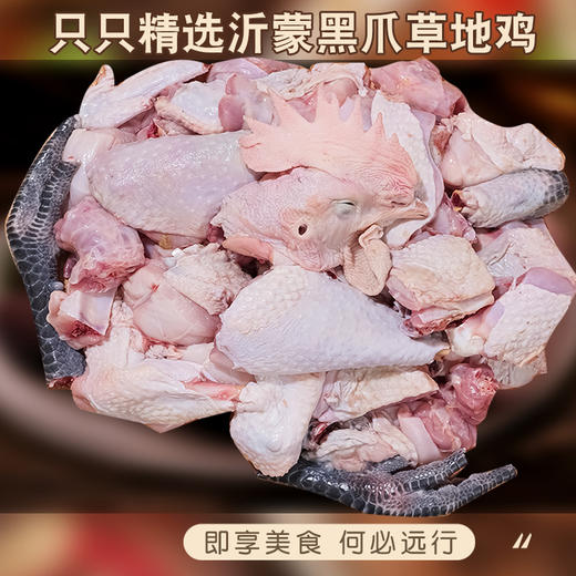 【风味人间】柴农人临沂特色炒鸡 现杀现炒无添加 肉质嫩滑紧实香气十足 精选沂蒙黑爪草地鸡花生油 一锅只炒一只 商品图3