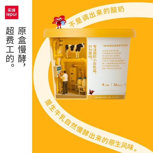 乐纯超纯原生酸奶零蔗糖400g 商品图1