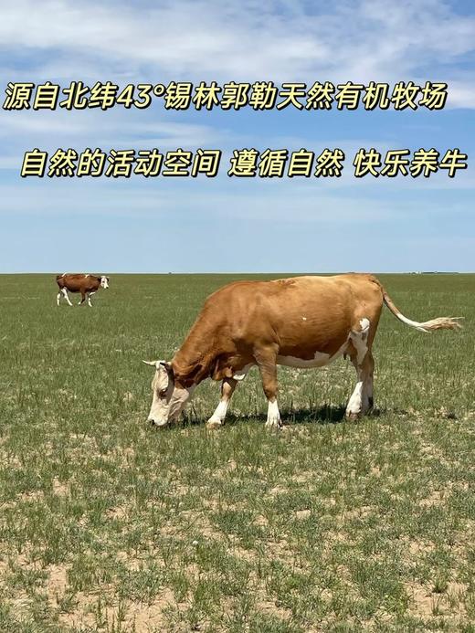 牧北鲜有机牛肉片150g 商品图2