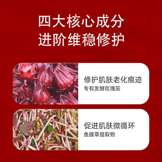 Shiseido 资生堂 红妍肌精华 100ml 第三代 【2026.6】 商品图4