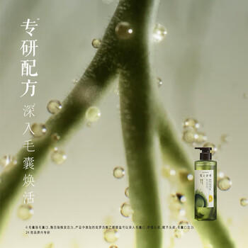 髮の食谱发之食谱冷萃茶柚控油洗发水套装530g*3+50g*2水润蓬松洗发露去屑 /个人护理 /洗发护发 /洗发水 商品图0