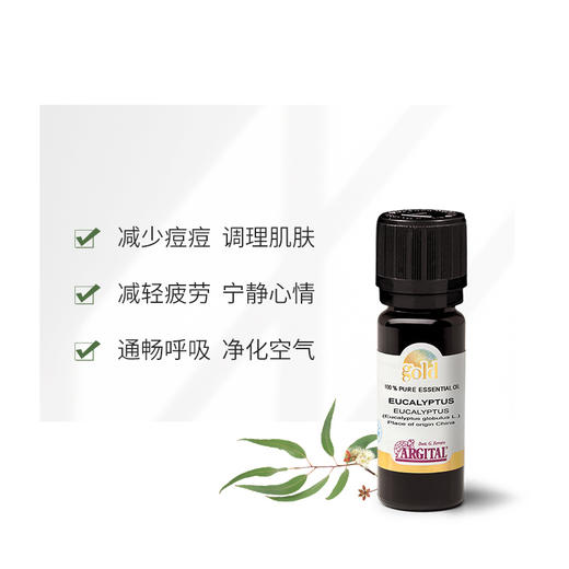 雅琪朵尤加利精油10ml（天然植物原材料） 商品图1
