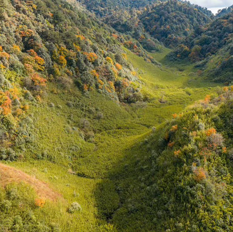 云南| 腾冲高黎贡山翡翠瀑布群10公里一日徒步，高黎贡山/原始森林/翡翠瀑布群/竹林秘境/野生温泉！ 商品图14