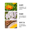 雅琪朵甘菊修复霜50ml（天然植物原材料） 商品缩略图2