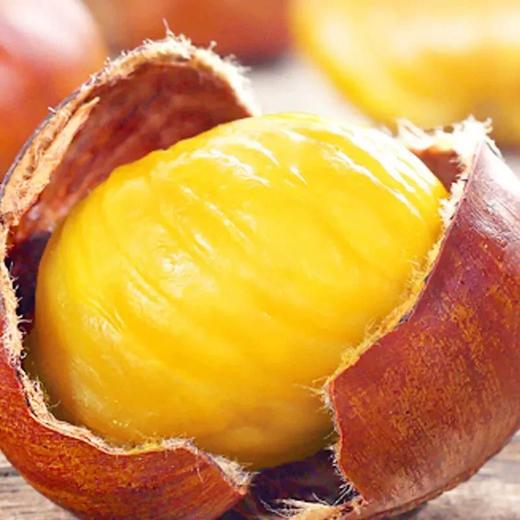 丹东板栗【29元购】丨新鲜下树 生吃脆爽鲜甜 熟吃粉糯喷香 商品图1