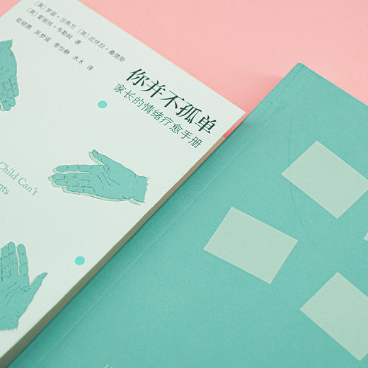 你并不孤单：家长的情绪疗愈手册 （守望者·心自在） 商品图3