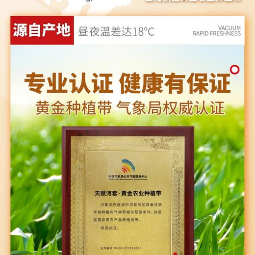 【糯玉米】新鲜玉米极速真空锁鲜，软糯拉丝自然有料 商品图5