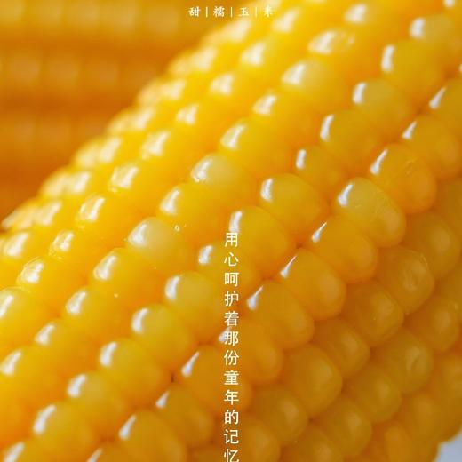 一块方田甜糯玉米【多送1根12月31日结束】 商品图1