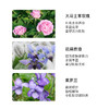 雅琪朵玫瑰面霜50ml（纯天然植物原材料） 商品缩略图2