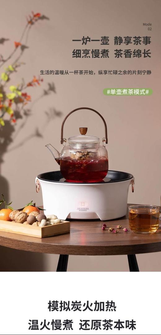 大宇(DAEWOO)电陶多功能家用围炉煮茶器 DY--WL08 商品图3
