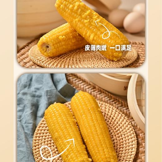 【糯玉米】新鲜玉米极速真空锁鲜，软糯拉丝自然有料 商品图3
