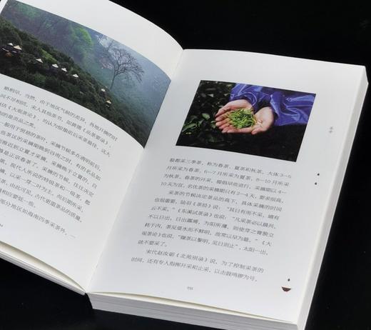 毛边+签名：《茶盏里的寄托》，32开，裸脊平装，王仁湘著，三晋出版社2025年一版一印，239页，定价88，毛边签名：78元。 商品图8