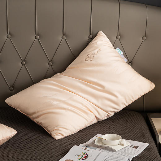 多喜爱 美眠康 冰姿枕蚕丝蛋白枕 真蚕丝高回弹超柔软 珍珠白/珊瑚粉 商品图4