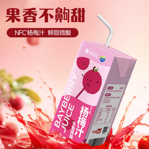 味动力杨梅汁复合果蔬汁饮品 200ml*12瓶 商品图1