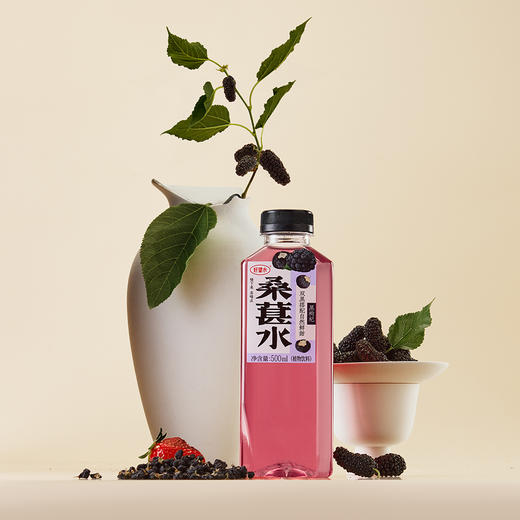 好望水桑葚水\茉莉薏米水\薏米水\陈皮水 商品图1