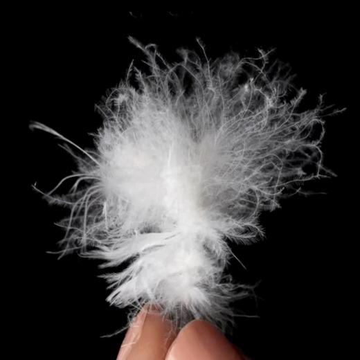 【保暖服饰丨安德玛 儿童轻薄羽绒服】甄选优质鸭绒，洁净蓬松无味，全身压胶工艺，不易跑绒，款式简约，可当内胆可当外套，由内而外满足多样性穿搭需求 商品图5