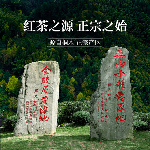 正山堂 皇家特级礼盒装 正山小种红茶特级茶叶传统烟熏工艺送礼50g/100g 商品图4