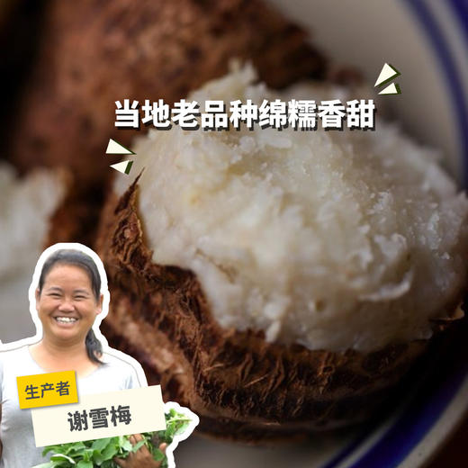 生态鸡蛋小芋头 （中通快递）| 合作生产 *Ecological taro |Partner Production 商品图0