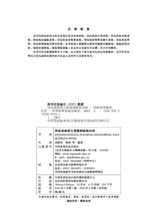 风电场典型工程案例缺陷分析 商品图1