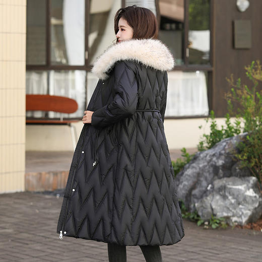 雀说冬季新款长款收腰连帽大毛领时尚百搭棉衣棉服外套ALW8082 商品图2