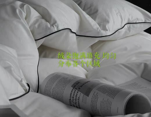 诗丹娜SIDANDA红点奖设计鹅绒被羽绒被 商品图10