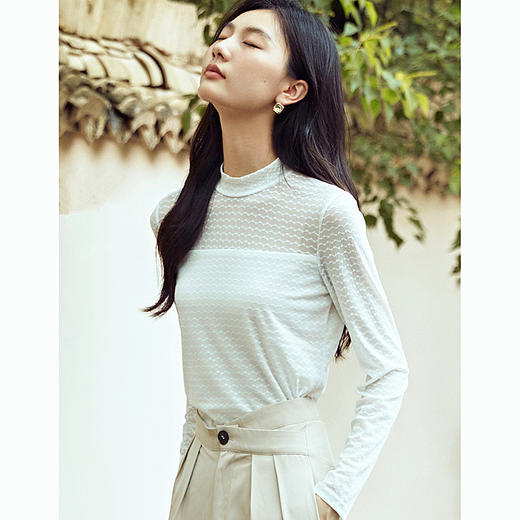 丁摩 女士打底蕾丝衫秋冬新款修身显瘦镂空性感大方半高领5ZF-348 商品图3