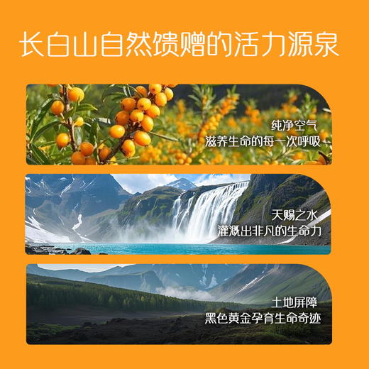 沙棘原浆【低至19.9元购】丨鲜果鲜榨 天然VC 配料干净拒绝加水 商品图3