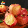 西域美农 老式花牛苹果 果香馥郁 粉润沙润 适合做苹果泥 72小时发货（果蔬生鲜签收24小时内保留完整包装面单可售后，超时不予理赔，拍下默认接受） 商品缩略图8