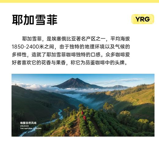 【会员购】0元尝鲜明谦云镜茉莉夏花咖啡豆40g试喝美式意式耶加雪菲水洗中浅 商品图5