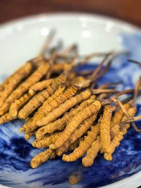 老客福利【冬虫夏草】2025年西藏那曲，滋补圣品增强免疫力首选3500头，20克/盒