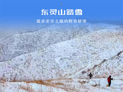 【东灵山1日】｜挑战北京最高峰2303-京西的“珠穆朗玛” 商品图8