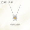 ZEGL雏菊系列花朵项链女款小众独特设计感锁骨链秋冬饰品精致颈链 商品缩略图0