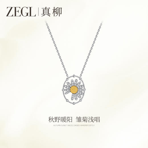 ZEGL雏菊系列花朵项链女款小众独特设计感锁骨链秋冬饰品精致颈链 商品图0