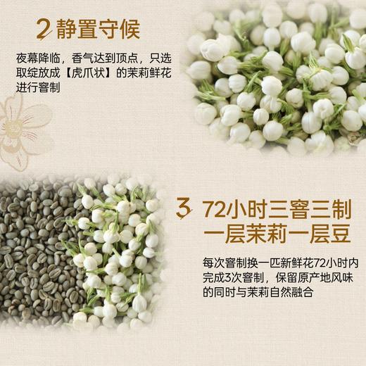 【会员购】0元尝鲜明谦云镜茉莉夏花咖啡豆40g试喝美式意式耶加雪菲水洗中浅 商品图3