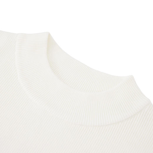 【新品上新】HX 冬季假两件中领毛衫Z107540008101/02 商品图4